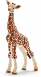 Schleich zsiráfborjú figura (14751)