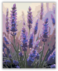  Hajnali Harmatos Levendulák - számfestő készlet