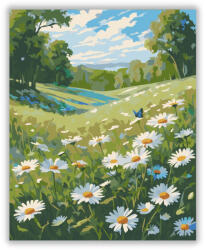  Vadvirágos Margaréta Mező - számfestő készlet