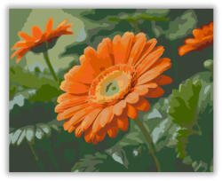  Narancssárga Gerbera Katicabogárral - számfestő készlet