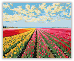  Tarka Tulipánmező - számfestő készlet