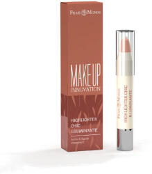  Frais Monde INNOVATION Chic Illuminante vegán highlighter