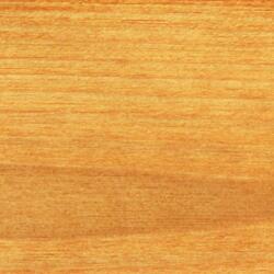 Saicos Special Wood Oil 0110 Прозрачно - Екстериорно масло 0.75л (4788)