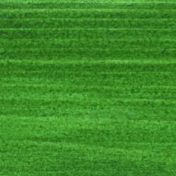 Saicos Wood Stain - Екстериорно защитно покритие 0060, Fir Green (4771)
