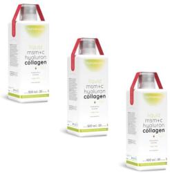 Nutriversum WSHAPE Collagene+Hyaluron+MSM Liquid 3x500ml ananász