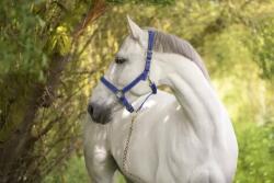 Covalliero Mustang kötőfék, kék-fekete, póni