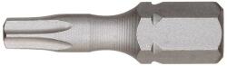 Forum Bit Forum Torsion, DIN3126, TX30x25mm (4317784965699) Set capete bit, chei tubulare
