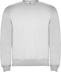 Roly Unisex felnőtt Clasica Crew nyakú pulóver S szürke