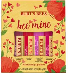 Burt's Bees Bee Mine" ajakbalzsam szett - 1 szett