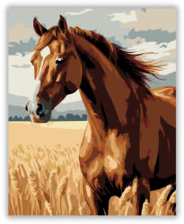  Gesztenyebarna Ló a Búzamezőn - számfestő készlet