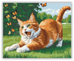 Számfestő Játékos Vörös Cirmos Pillangókkal - számfestő készlet (crea5884)