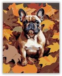  Francia Bulldog Őszi Levelek Között - számfestő készlet