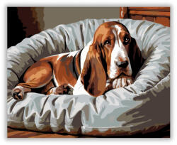  Alvó Basset Hound Kényelmes Ágyon - számfestő készlet