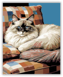  Alvó Ragdoll Macska - számfestő készlet