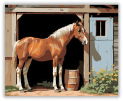  Kíváncsi Fiatal Csikó az Istállónál - számfestő készlet