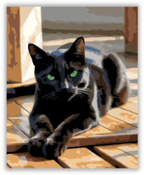  Lustán Nyújtózkodó Fekete Macska - számfestő készlet