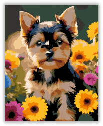  Yorkshire Terrier Kiskutya Virágok Között - számfestő készlet