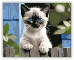  Sziámi Kiscica a Kerítésen - számfestő készlet