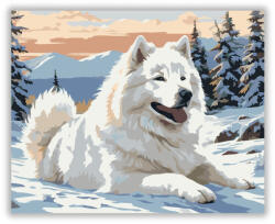  Samoyed a Havas Tájon - számfestő készlet