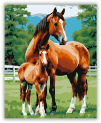  Ménes Anyai Szeretet - számfestő készlet