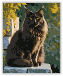 Fekete Maine Coon Kőfalon - számfestő készlet