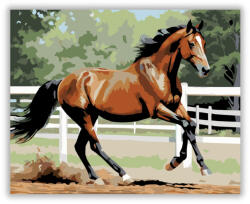  Vágtató Pej Ló a Ranch Udvarán - számfestő készlet