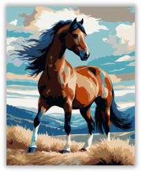  Pej Csődör a Dombtetőn - számfestő készlet