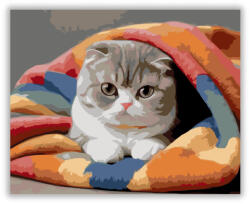  Alvó Skót Lógófülű Macska Színes Takarón - számfestő készlet