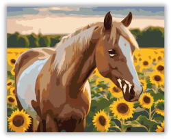  Palomino Ló Napraforgók Között - számfestő készlet