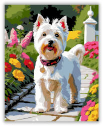  West Highland White Terrier a Kerti Ösvényen - számfestő készlet