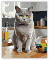  British Shorthair Macska a Konyhapulton - számfestő készlet