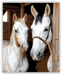  Fehér Kancák a Stabilban - számfestő készlet