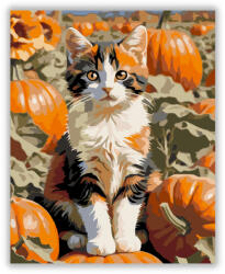  Kiscica a Tökök Között - számfestő készlet