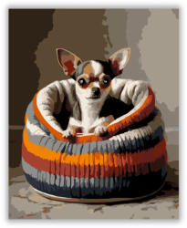  Chihuahua Kötött Pulóverben - számfestő készlet