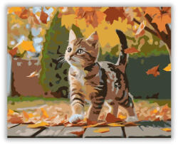  Játékos Cirmos Kiscica Őszi Levélhullásban - számfestő készlet