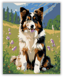  Collie Kiskutya a Vadvirágos Mezőn - számfestő készlet