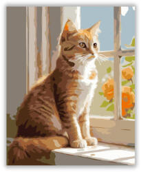  Napfényben Ülő Vörös Cirmos Kiscica - számfestő készlet