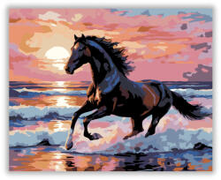  Fekete Csődör a Tengerparton - számfestő készlet