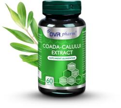 DVR Pharm Coada Calului Extract Pentru Detoxifiere, Rinichi Și Oase 60 Capsule DVR Pharm