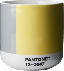 Copenhagen Design Cană termică Pantone 190 ml gri-galben (101062021)