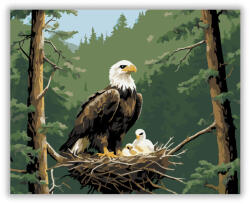  Sasfészek a Magasban - számfestő készlet