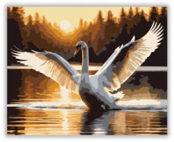  Kitárt Szárnyú Hattyú a Naplementében - számfestő készlet