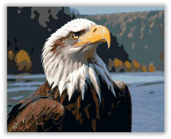  Sas a Folyóparton - számfestő készlet