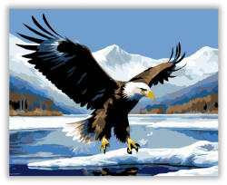  Fehérfejű Sas a Jeges Tavon - számfestő készlet