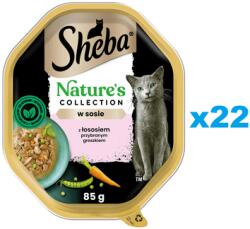Sheba Nature’s Collection 22x85 g nedves teljes értékű eledel felnőtt macskáknak lazacdarabokkal, borsóval díszítve, mártásban