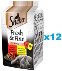 Sheba tasak 72x50g Fresh & Fine nedves teljes értékű eledel felnőtt macskáknak marhahús mártással, csirkével