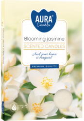 AURA 6 бр. чаени свещи aura с аромат на цъфтящ жасмин (p15-169)