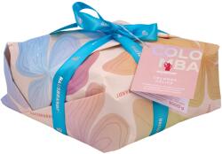 Hausbrandt Panettone Colombo Delice 1000g
