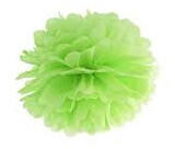 PartyDeco Lime-s pom pom