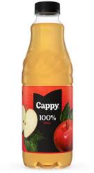 Cappy Gyümölcslé, 100%, 1 l, rostos, CAPPY, alma (1121917) - tabexpress